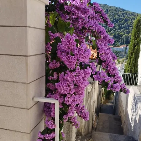 Elelo * Dubrovnik